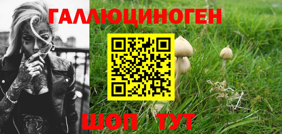 Псилоцибиновые грибы мицелий  Вход с VPN  Рубцовск  Галлюциногенные грибы мухоморы 